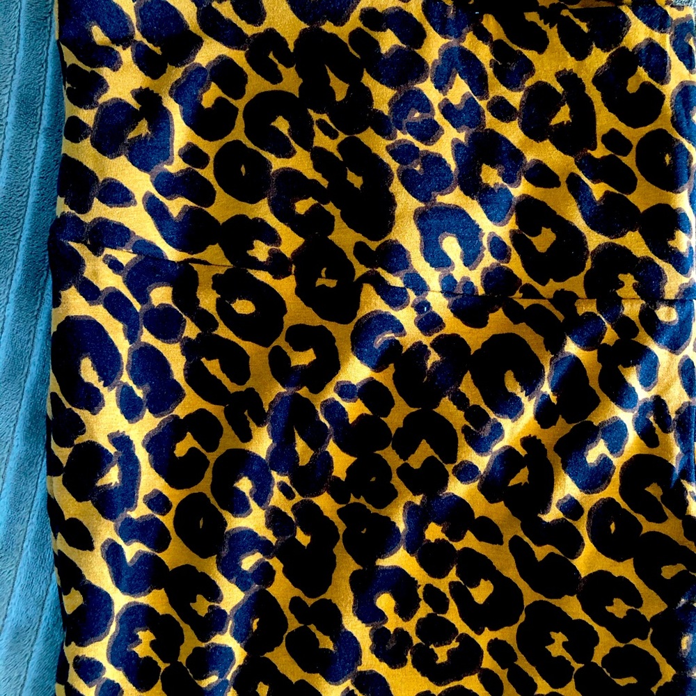 Terra & Sky leggings